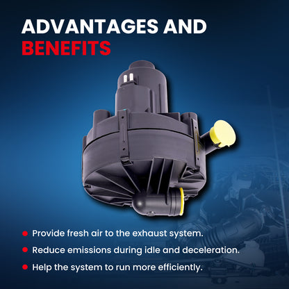 MOCA Secondary Air Injection Pump AP24