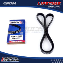 MOCA Serpentine Belt - ESP0020