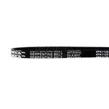MOCA Serpentine Belt - ESP0024