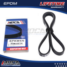 MOCA Serpentine Belt - ESP0042