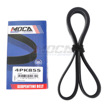MOCA Serpentine Belt - ESP0042