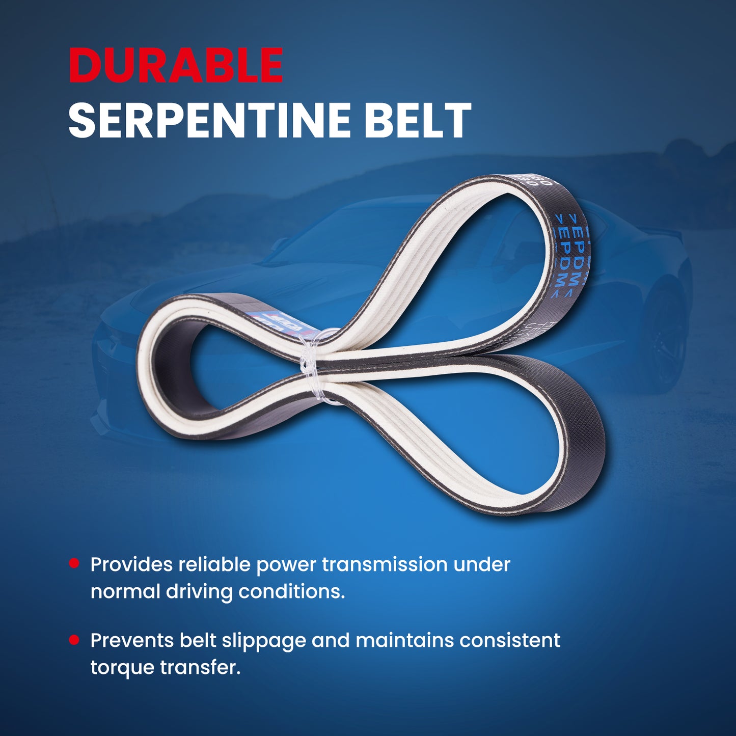 MOCA Serpentine Belt - ESP0047M