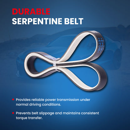 MOCA Serpentine Belt - ESP0047M
