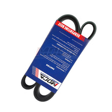 MOCA Serpentine Belt - ESP0074