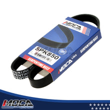 MOCA Serpentine Belt - ESP0081