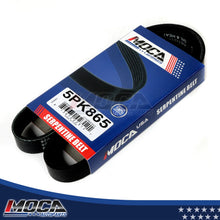 MOCA Serpentine Belt - ESP0083
