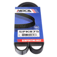 MOCA Serpentine Belt - ESP0084