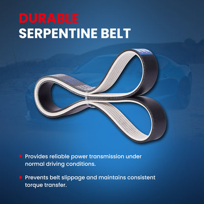 MOCA Serpentine Belt - ESP0092M