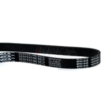 MOCA Serpentine Belt - ESP0093