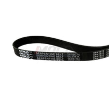 MOCA Serpentine Belt - ESP0096