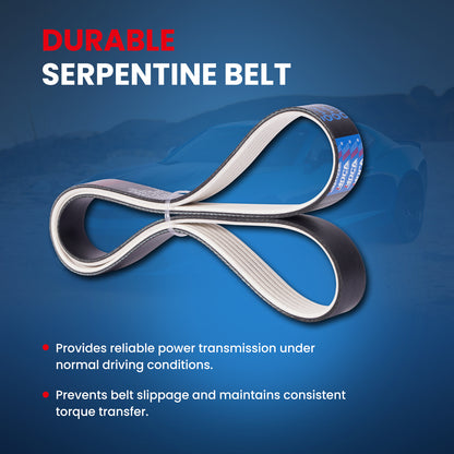 MOCA Serpentine Belt - ESP0098M