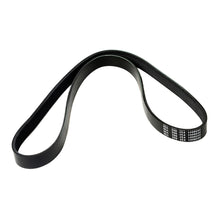 MOCA Serpentine Belt - ESP0101