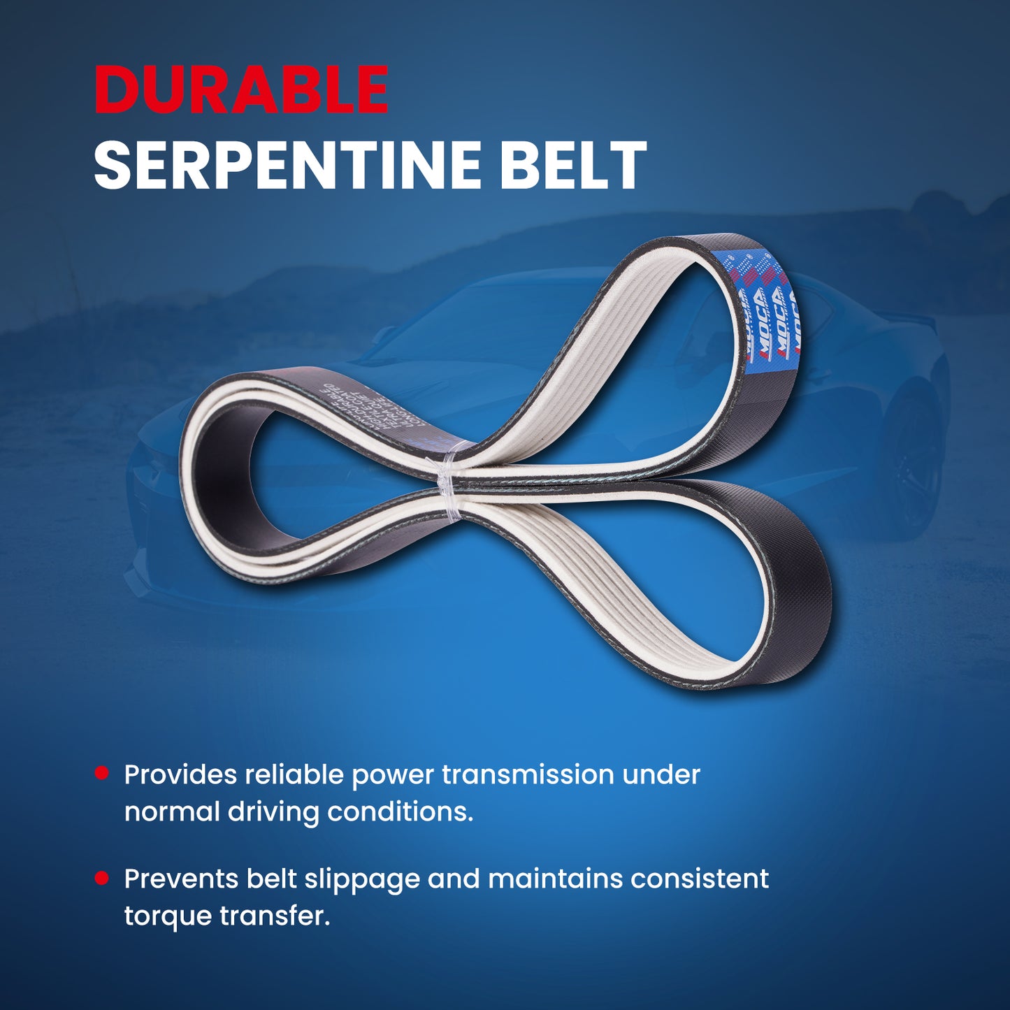 MOCA Serpentine Belt - ESP0102M