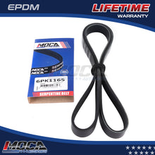 MOCA Serpentine Belt - ESP0105