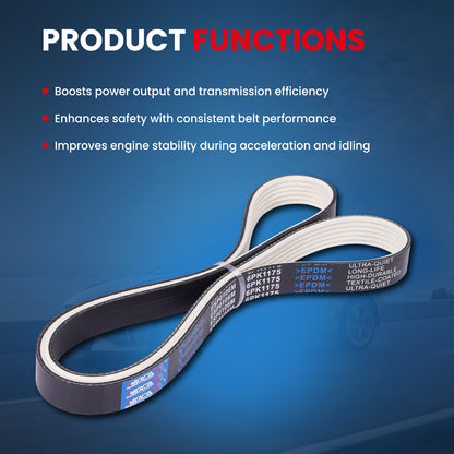 MOCA Serpentine Belt - ESP0106M