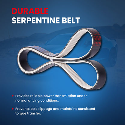 MOCA Serpentine Belt - ESP0106M