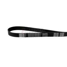 MOCA Serpentine Belt - ESP0116