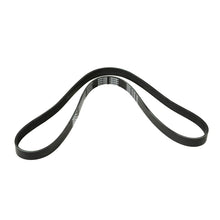 MOCA Serpentine Belt - ESP0117