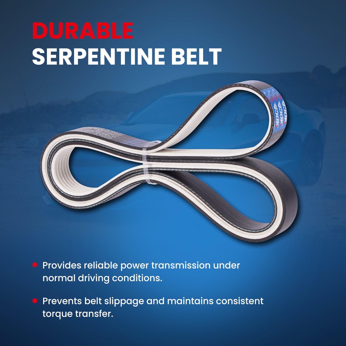 MOCA Serpentine Belt - ESP0122M