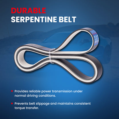 MOCA Serpentine Belt - ESP0122M