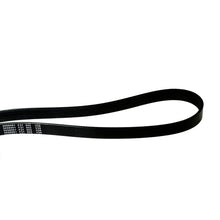 MOCA Serpentine Belt - ESP0128