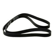 MOCA Serpentine Belt - ESP0130