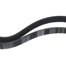 MOCA Serpentine Belt - ESP0134