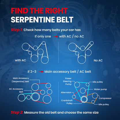 MOCA Serpentine Belt - ESP0136M