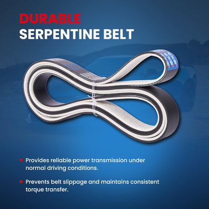MOCA Serpentine Belt - ESP0136M