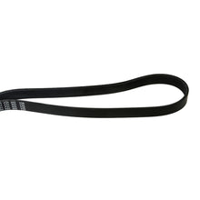 MOCA Serpentine Belt - ESP0139