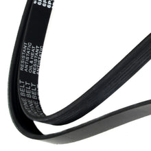 MOCA Serpentine Belt - ESP0143