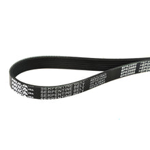 MOCA Serpentine Belt - ESP0146