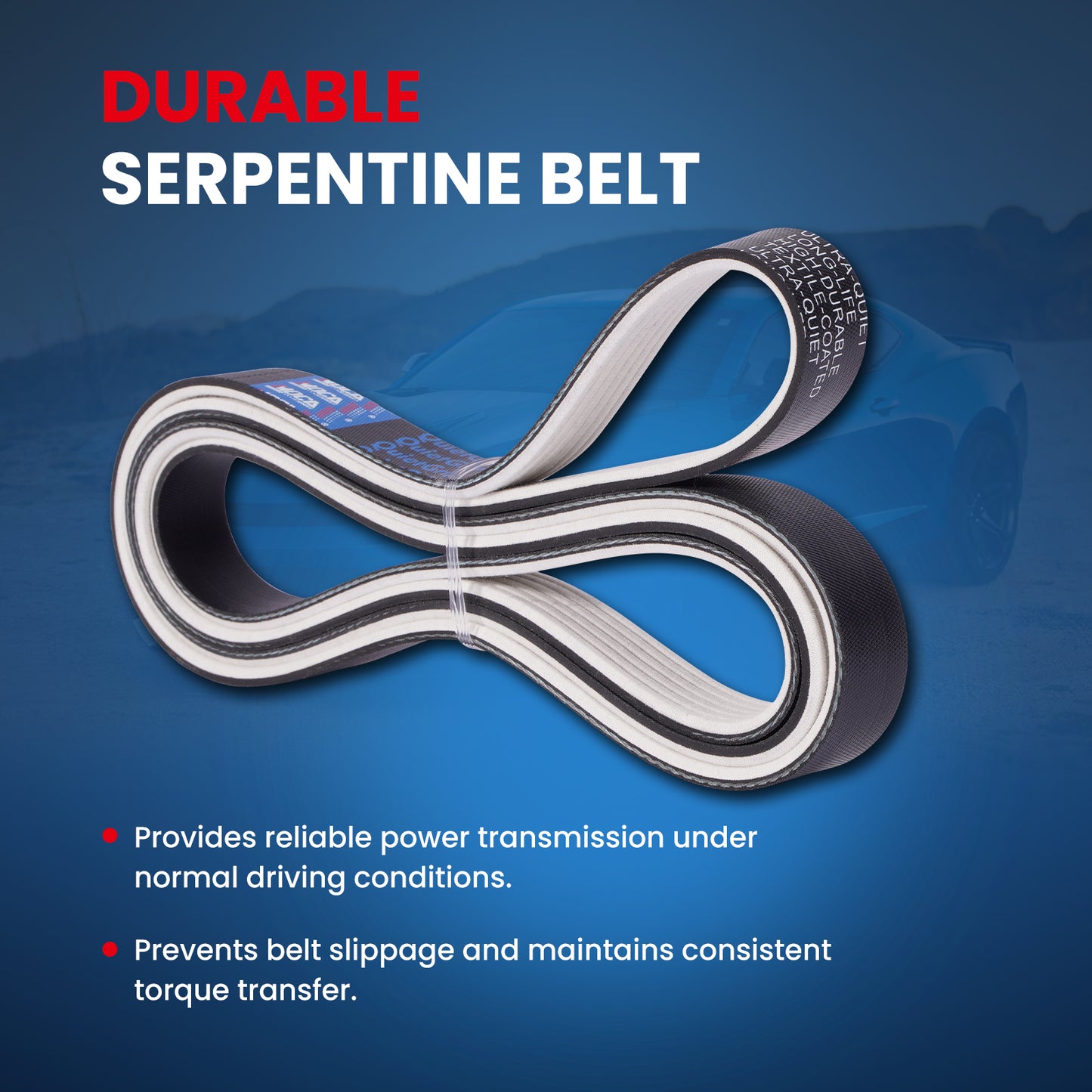 MOCA Serpentine Belt - ESP0147M