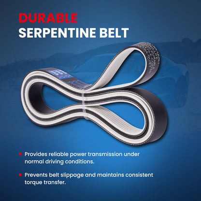 MOCA Serpentine Belt - ESP0147M