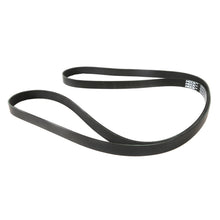MOCA Serpentine Belt - ESP0150