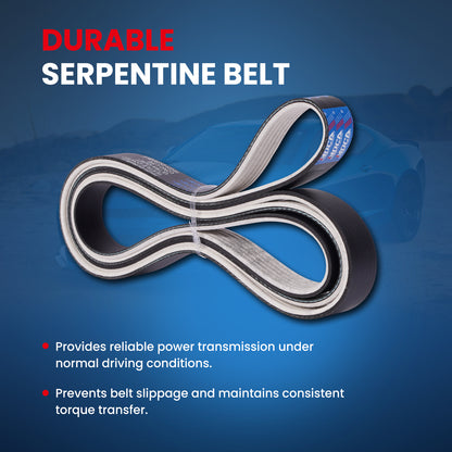 MOCA Serpentine Belt - ESP0151M