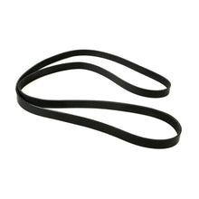 MOCA Serpentine Belt - ESP0152