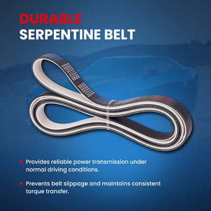 MOCA Serpentine Belt - ESP0153M