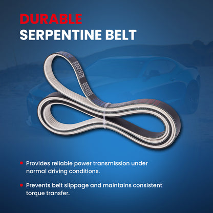 MOCA Serpentine Belt - ESP0157M
