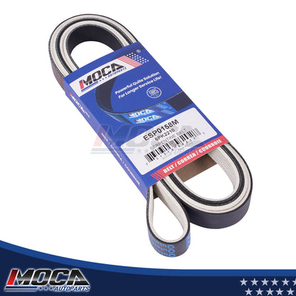 MOCA Serpentine Belt - ESP0158M