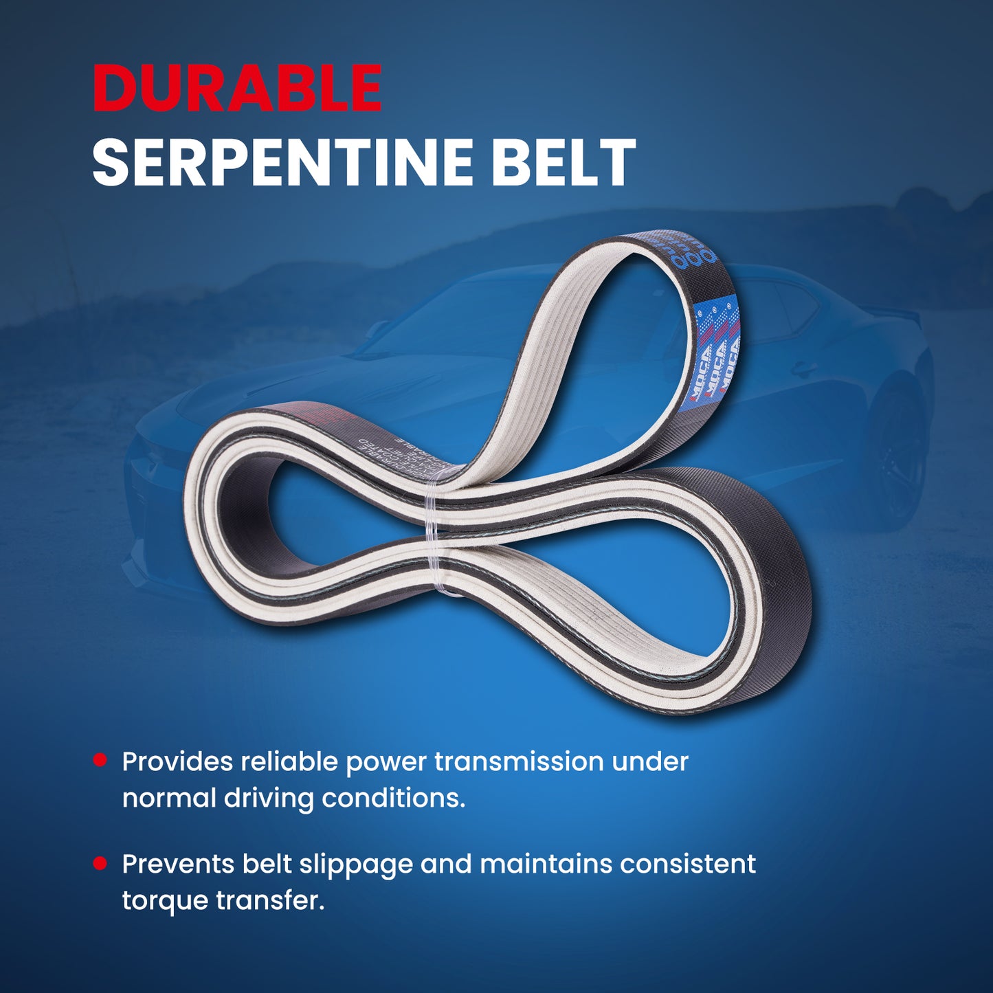 MOCA Serpentine Belt - ESP0158M