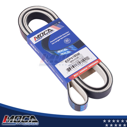 MOCA Serpentine Belt - ESP0160M