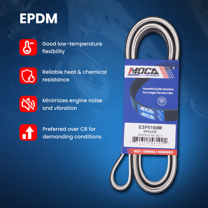 MOCA Serpentine Belt - ESP0160M