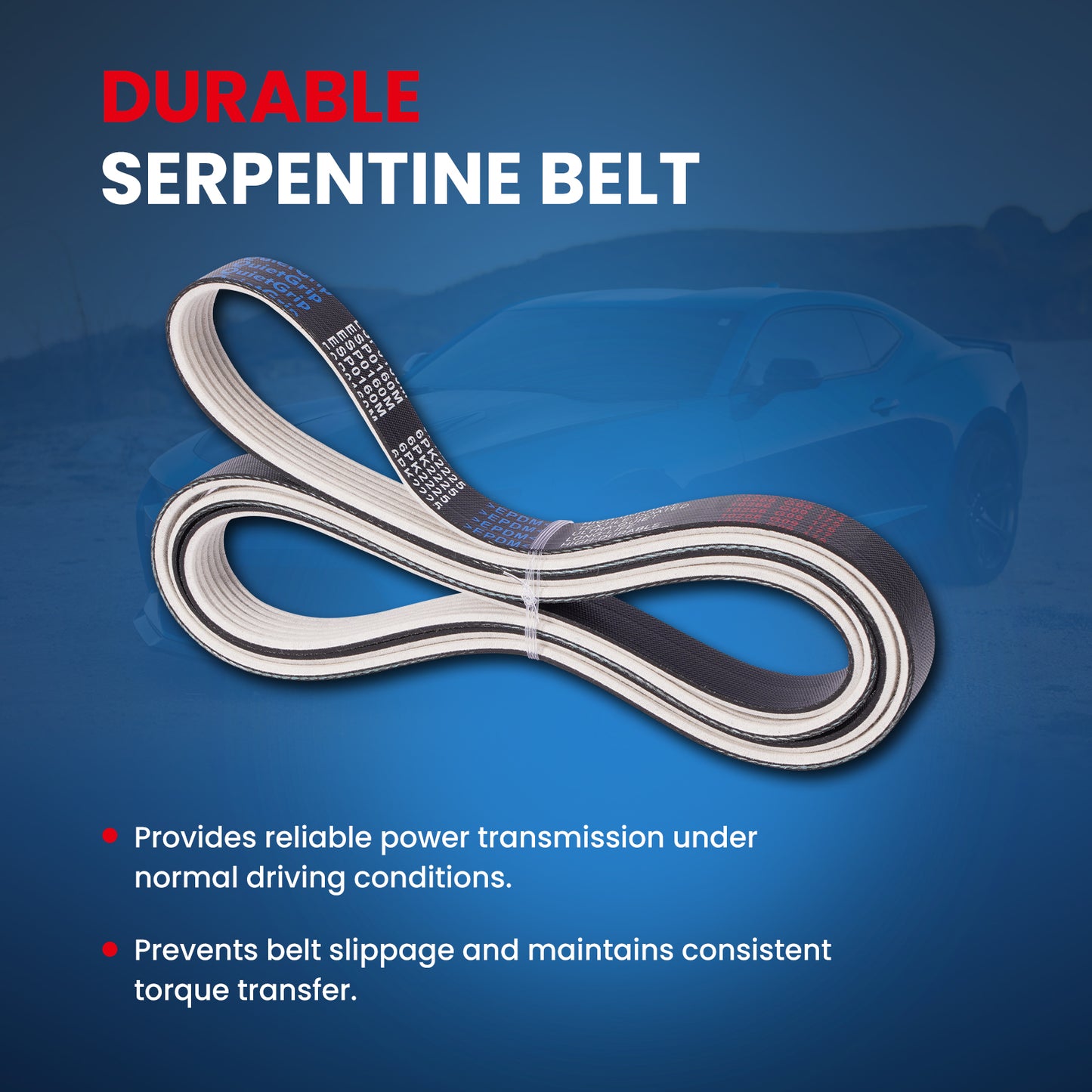 MOCA Serpentine Belt - ESP0160M