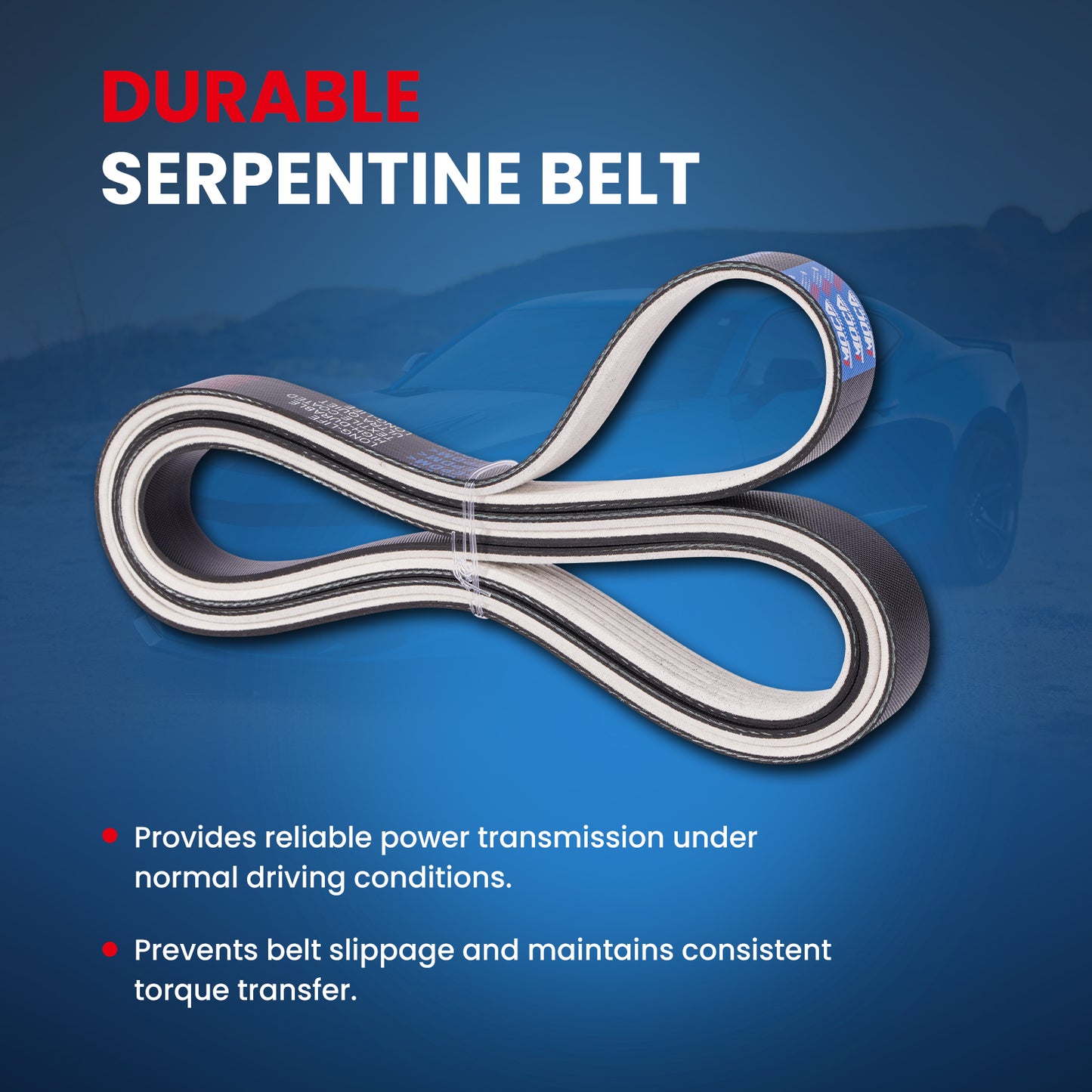 MOCA Serpentine Belt - ESP0163M