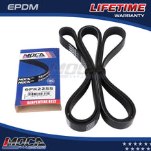 MOCA Serpentine Belt - ESP0166