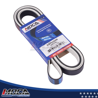 MOCA Serpentine Belt - ESP0169M