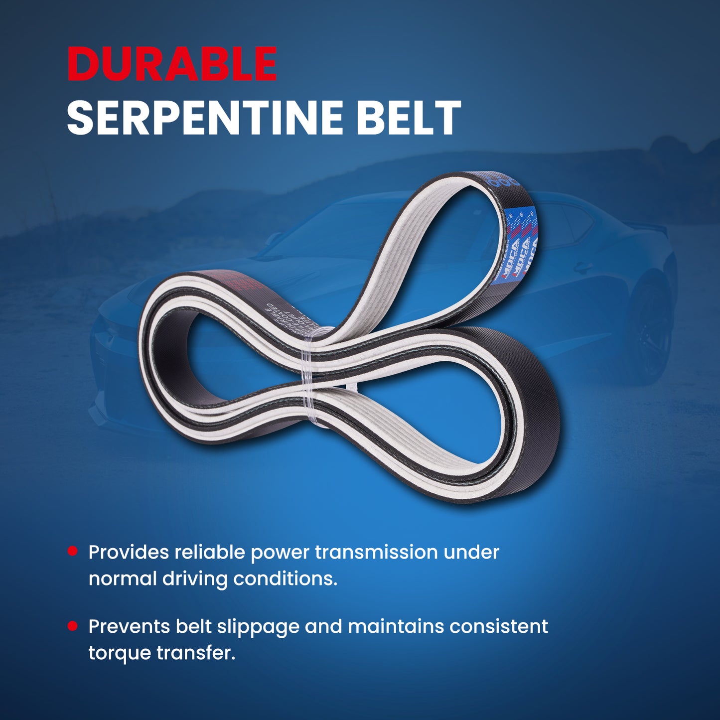 MOCA Serpentine Belt - ESP0169M