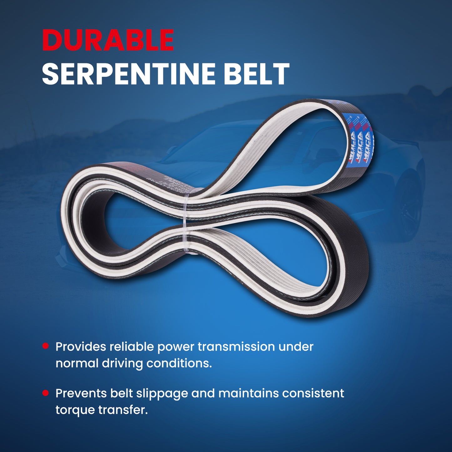 MOCA Serpentine Belt - ESP0171M