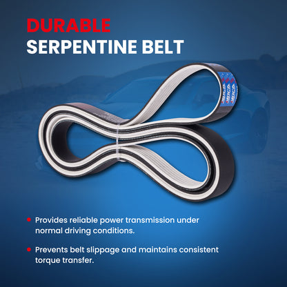 MOCA Serpentine Belt - ESP0171M